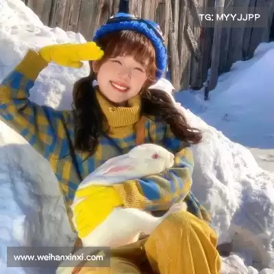 伏曼凤